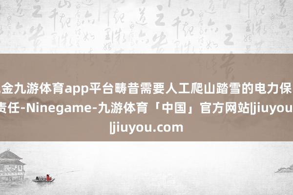 现金九游体育app平台畴昔需要人工爬山踏雪的电力保险巡检责任-Ninegame-九游体育「中国」官方网站|jiuyou.com
