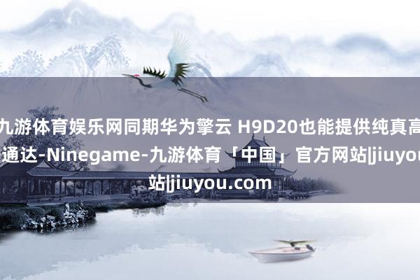 九游体育娱乐网同期华为擎云 H9D20也能提供纯真高阶数据通达-Ninegame-九游体育「中国」官方网站|jiuyou.com